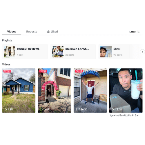 TikTok realtor playlists